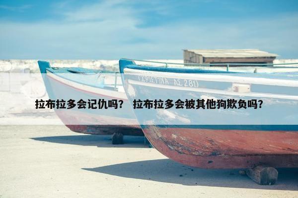 拉布拉多会记仇吗？ 拉布拉多会被其他狗欺负吗？