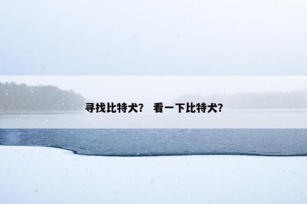 寻找比特犬？ 看一下比特犬？