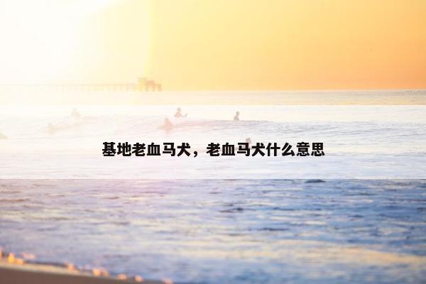 基地老血马犬，老血马犬什么意思