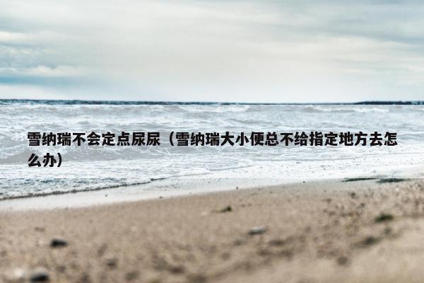 雪纳瑞不会定点尿尿（雪纳瑞大小便总不给指定地方去怎么办）