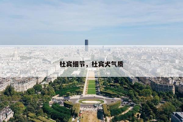 杜宾细节，杜宾犬气质