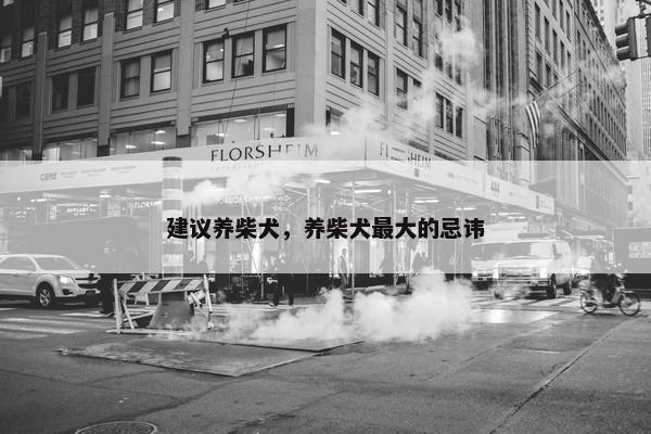 建议养柴犬，养柴犬最大的忌讳