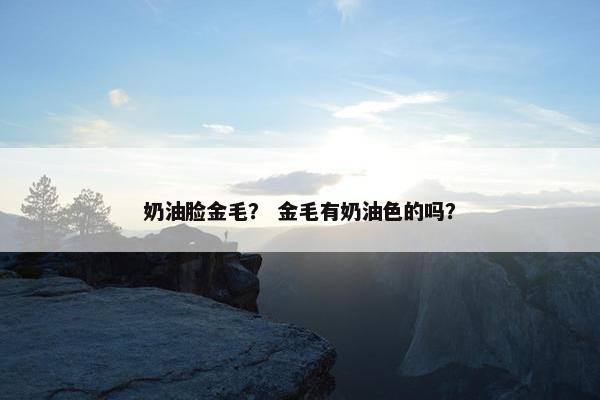 奶油脸金毛？ 金毛有奶油色的吗？