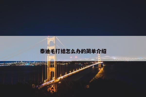 泰迪毛打结怎么办的简单介绍