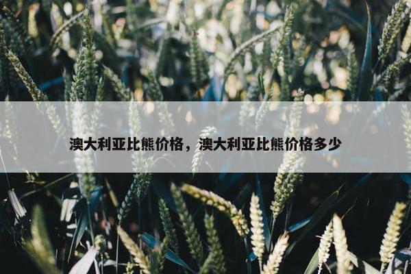 澳大利亚比熊价格，澳大利亚比熊价格多少