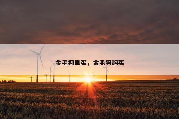 金毛狗里买，金毛狗购买