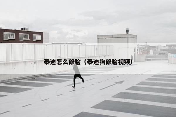 泰迪怎么修脸（泰迪狗修脸视频）