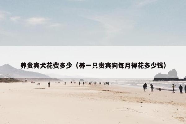 养贵宾犬花费多少（养一只贵宾狗每月得花多少钱）