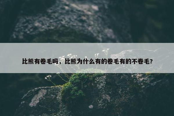 比熊有卷毛吗，比熊为什么有的卷毛有的不卷毛?