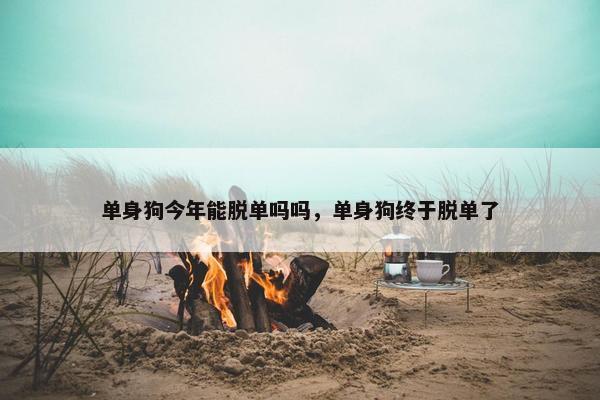 单身狗今年能脱单吗吗，单身狗终于脱单了
