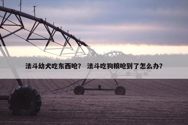 法斗幼犬吃东西呛？ 法斗吃狗粮呛到了怎么办？