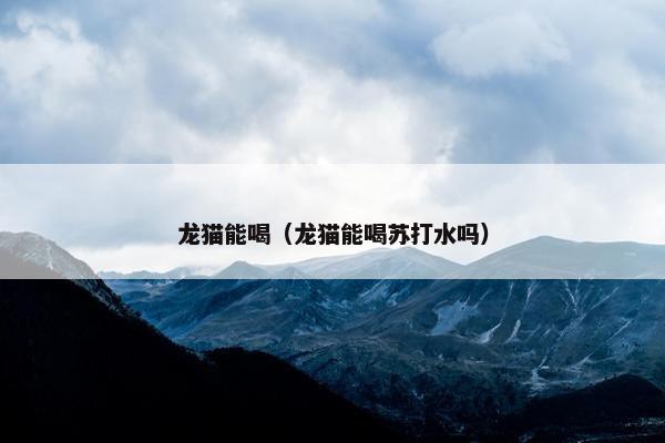 龙猫能喝（龙猫能喝苏打水吗）