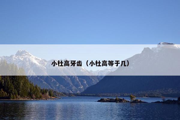 小杜高牙齿（小杜高等于几）