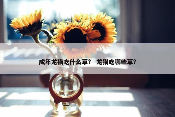 成年龙猫吃什么草？ 龙猫吃哪些草？