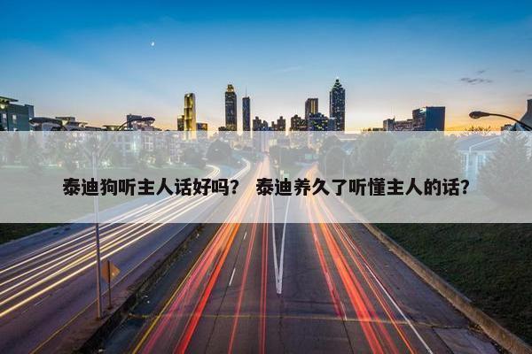 泰迪狗听主人话好吗？ 泰迪养久了听懂主人的话？