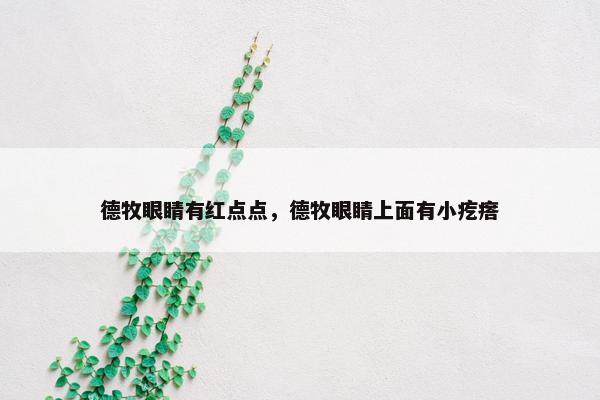 德牧眼睛有红点点，德牧眼睛上面有小疙瘩