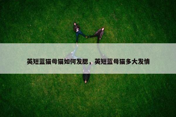 英短蓝猫母猫如何发腮，英短蓝母猫多大发情