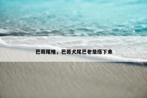 巴哥尾椎，巴哥犬尾巴老是搭下来