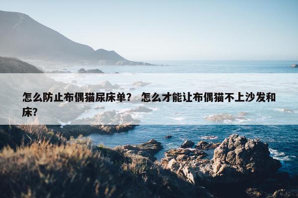 怎么防止布偶猫尿床单？ 怎么才能让布偶猫不上沙发和床？