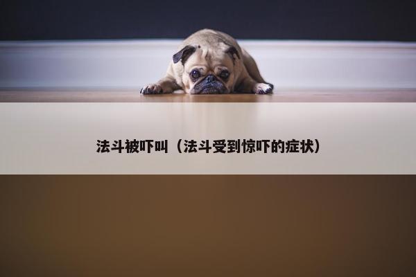 法斗被吓叫（法斗受到惊吓的症状）