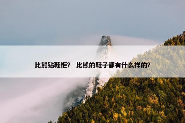 比熊钻鞋柜？ 比熊的鞋子都有什么样的？