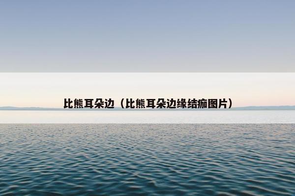 比熊耳朵边（比熊耳朵边缘结痂图片）