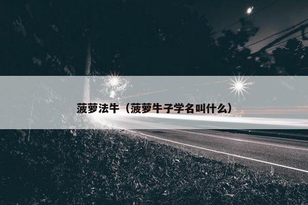 菠萝法牛（菠萝牛子学名叫什么）