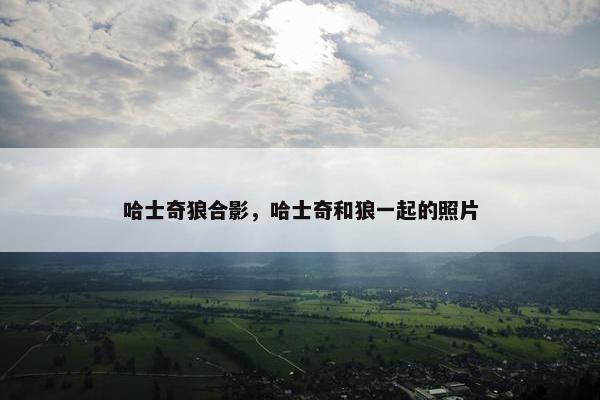 哈士奇狼合影，哈士奇和狼一起的照片