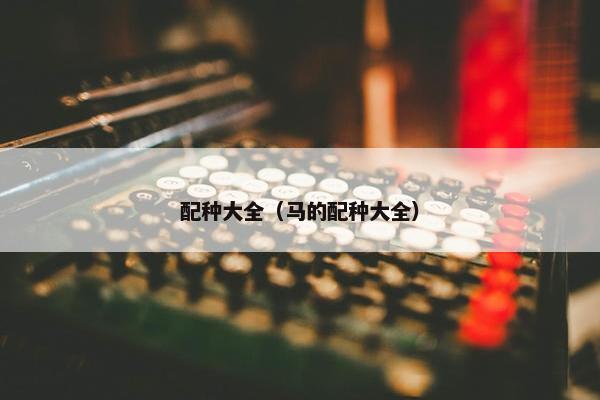 配种大全（马的配种大全）
