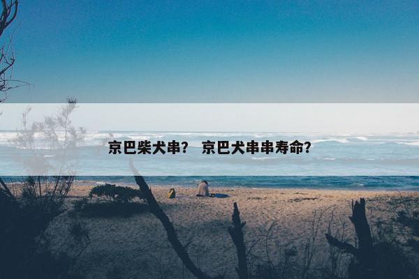 京巴柴犬串？ 京巴犬串串寿命？