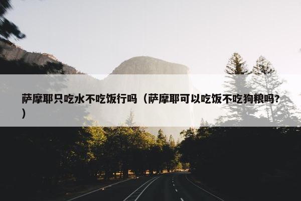 萨摩耶只吃水不吃饭行吗（萨摩耶可以吃饭不吃狗粮吗?）