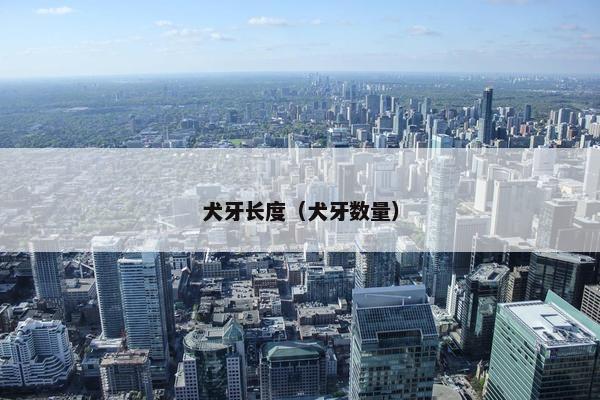 犬牙长度（犬牙数量）