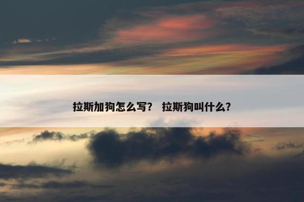 拉斯加狗怎么写？ 拉斯狗叫什么？
