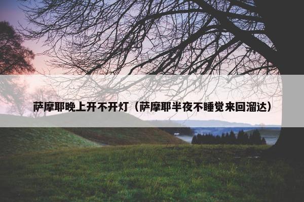 萨摩耶晚上开不开灯（萨摩耶半夜不睡觉来回溜达）