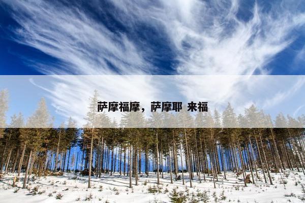 萨摩福摩，萨摩耶 来福