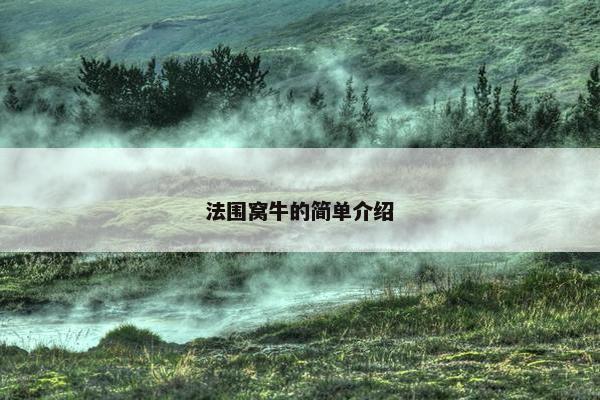 法围窝牛的简单介绍