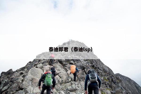 泰迪郎君（泰迪lsp）