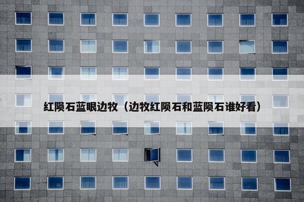 红陨石蓝眼边牧（边牧红陨石和蓝陨石谁好看）