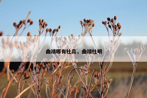 曲靖哪有杜高，曲靖杜明