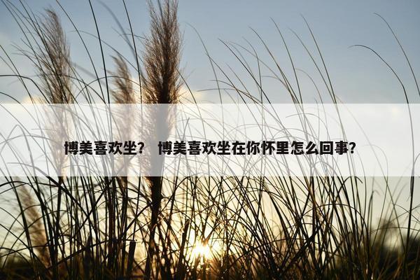 博美喜欢坐？ 博美喜欢坐在你怀里怎么回事？