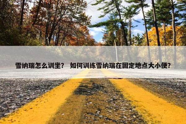 雪纳瑞怎么训坐？ 如何训练雪纳瑞在固定地点大小便？