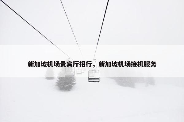 新加坡机场贵宾厅招行，新加坡机场接机服务