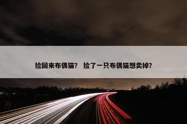捡回来布偶猫？ 捡了一只布偶猫想卖掉？
