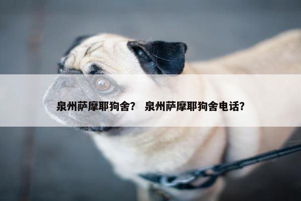 泉州萨摩耶狗舍？ 泉州萨摩耶狗舍电话？