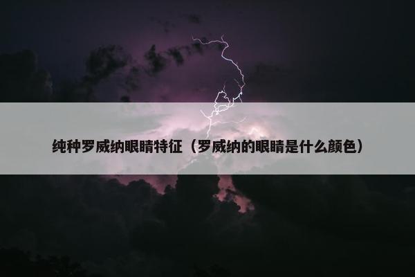 纯种罗威纳眼睛特征（罗威纳的眼睛是什么颜色）