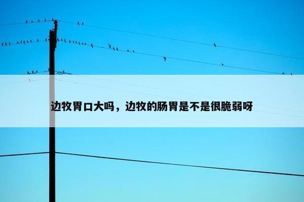 边牧胃口大吗，边牧的肠胃是不是很脆弱呀