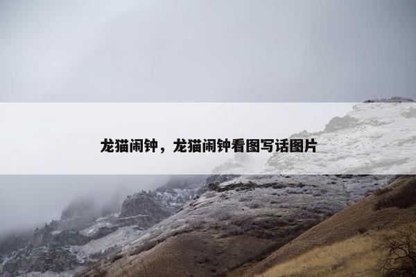 龙猫闹钟，龙猫闹钟看图写话图片