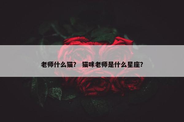 老师什么猫？ 猫咪老师是什么星座？