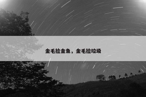 金毛捡金鱼，金毛捡垃圾