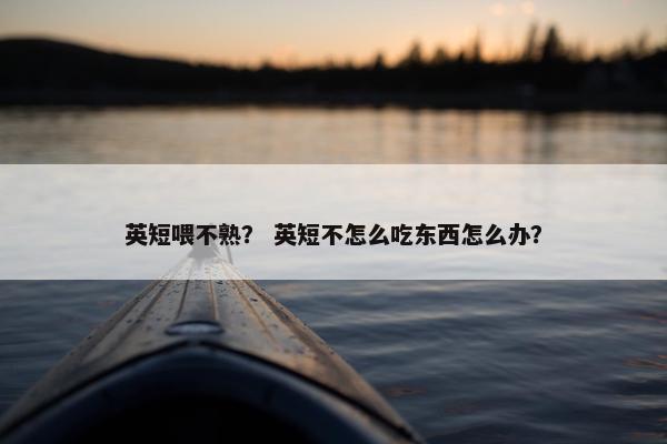 英短喂不熟？ 英短不怎么吃东西怎么办？